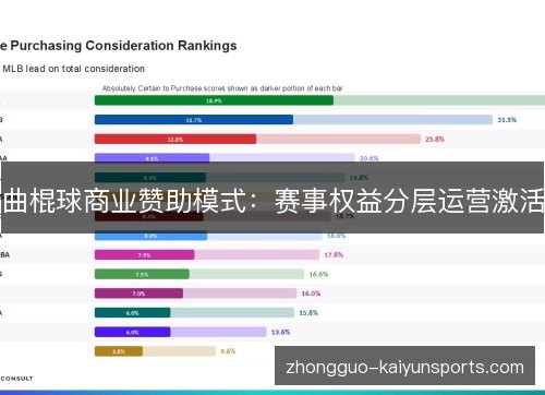 曲棍球商业赞助模式：赛事权益分层运营激活